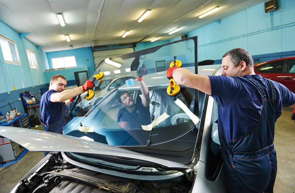 auto glass technician