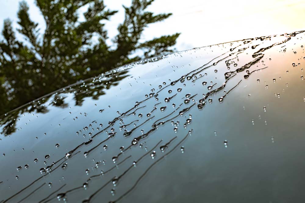 raindrops on windshield