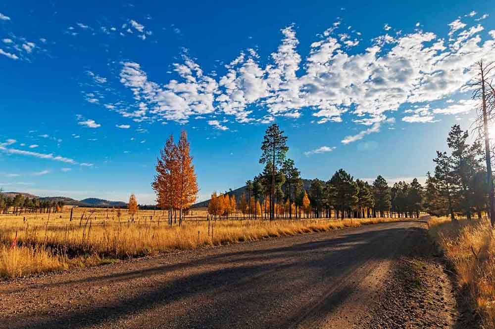 typical road in Flagstaff, AZ typical road in Flagstaff, AZ